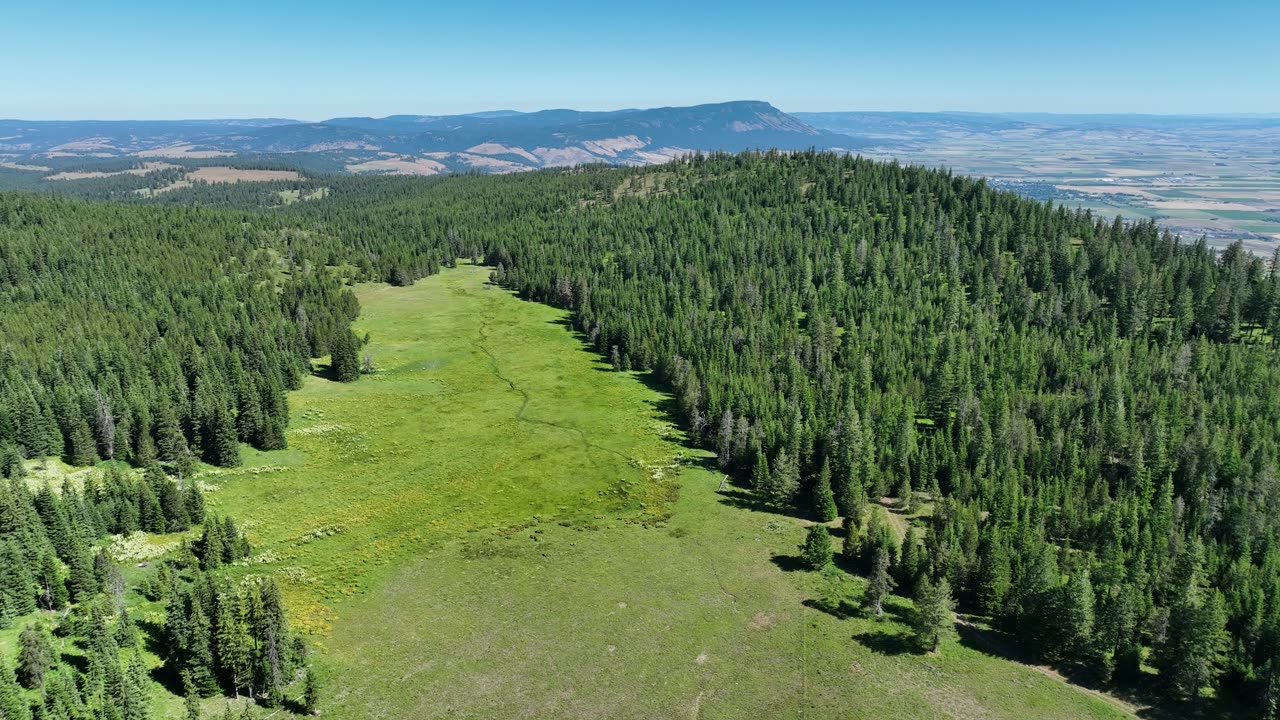 Ridge meadow above La Grande with Mount Emily and the Grande Ronde Valley beyond